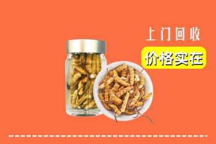 安庆太湖县回收散虫草