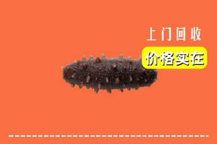 安庆太湖县回收海参