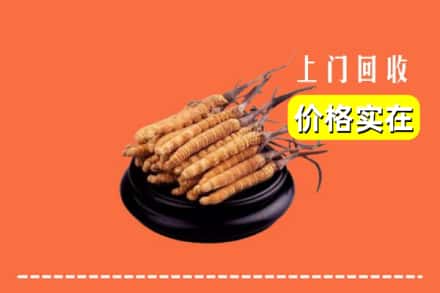 安庆太湖县回收冬虫夏草